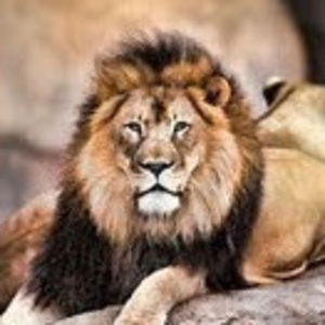 Meet your Posher, Berish